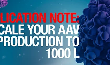Production of AAV at the 1,000 L scale