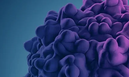 Production and purification of adeno-associated virus (AAV) at the 50 L scale