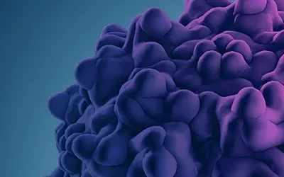Production and purification of adeno-associated virus (AAV) at the 50 L scale