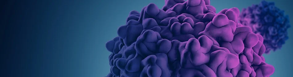 Production and purification of adeno-associated virus (AAV) at the 50 L scale