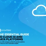 The Essential Guide to Cloud AI and Data Platforms