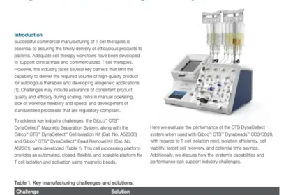 Automated and closed CTS DynaCellect Magnetic Separation System delivers target T cell isolation and magnetic bead removal at high efficiency