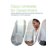 Umbrella for Government White Paper