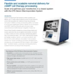Flexible and scalable nonviral delivery for cGMP cell therapy processing