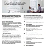 Wireless business internet