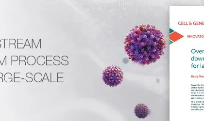 Overcoming upstream and downstream process barriers for large-scale AAV production