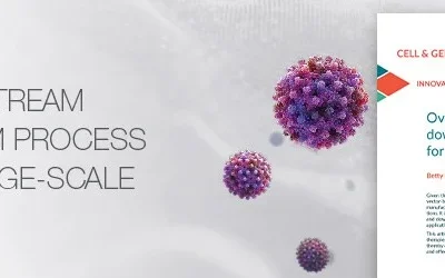 Overcoming upstream and downstream process barriers for large-scale AAV production