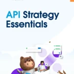 API Strategy Essentials