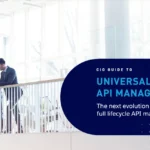 CIO guide to universal API management