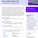 Cloud Native Security