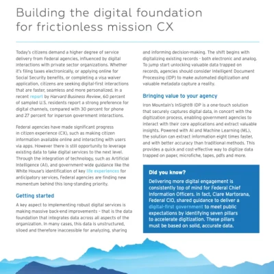 Find the Information You Need Faster: Bringing Dark Data to Light with IDP