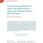 Downstream purification of adeno-associated virus for large-scale manufacturing of gene therapies