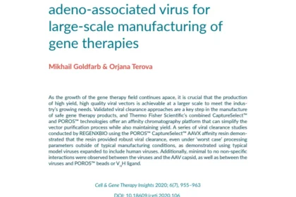 Downstream purification of adeno-associated virus for large-scale manufacturing of gene therapies