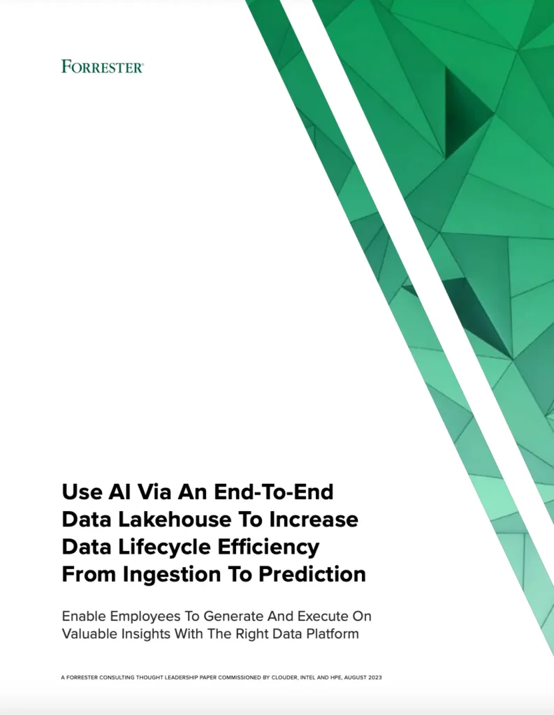 Use AI Via an End-to-End Data Lakehouse to Increase Data Lifecycle Efficiency From Ingestion to Prediction