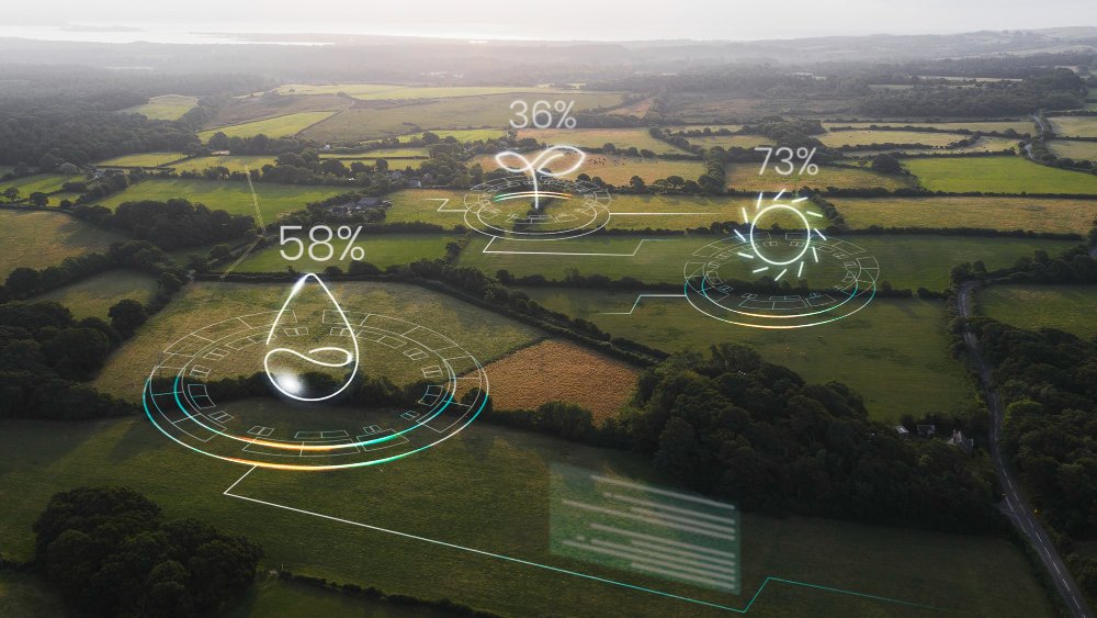Innovation Ecosystems Fuel Economic Development